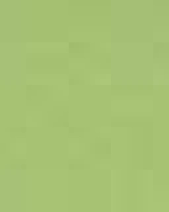 Unisex Heavy Cotton™ T-Shirt