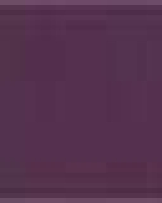 Unisex Fine Jersey Tee