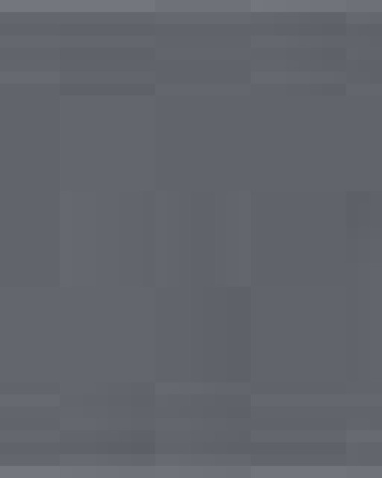 Unisex Fine Jersey Tee