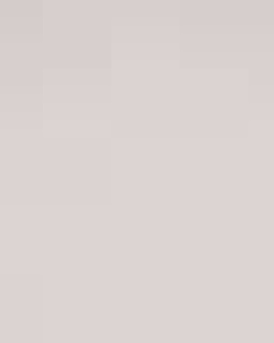 Unisex Fine Jersey Tee