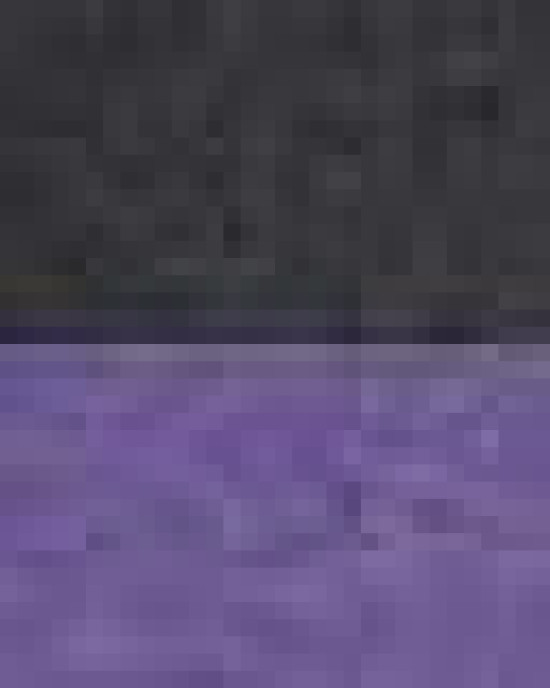 Fleece Raglan Hooded Sweatshirt