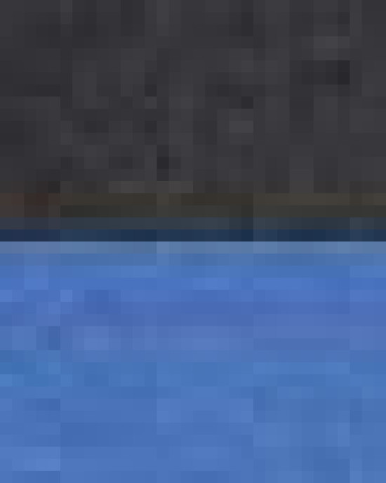 Fleece Raglan Hooded Sweatshirt