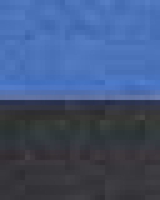 Fleece Raglan Hooded Sweatshirt