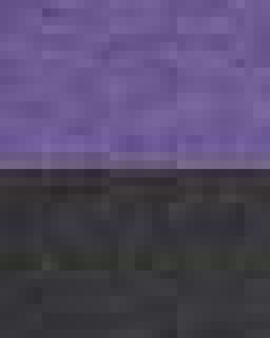 Fleece Raglan Hooded Sweatshirt