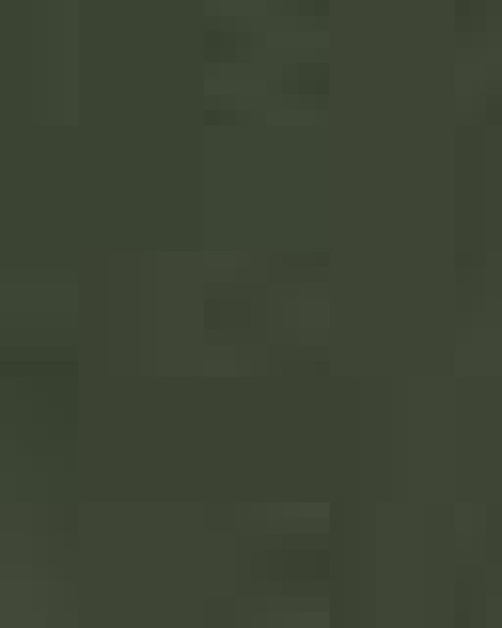 Unisex Pullover Hoodie