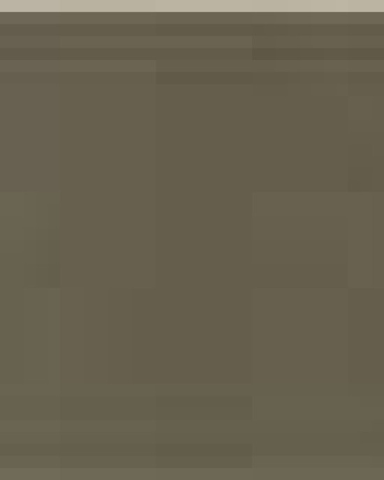 Unisex Pullover Hoodie