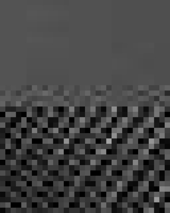 Five-Panel Trucker Cap