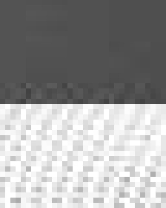 Five-Panel Trucker Cap