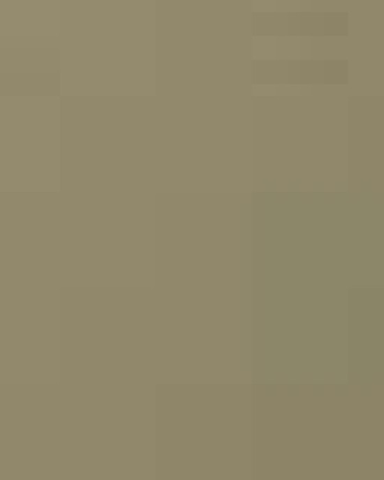 Unisex Heavyweight Long Sleeve T-Shirt