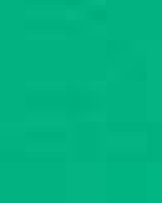 Unisex Softstyle® CVC T-Shirt