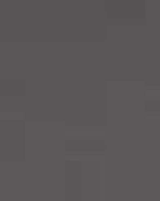 Unisex Softstyle® Lightweight T-Shirt