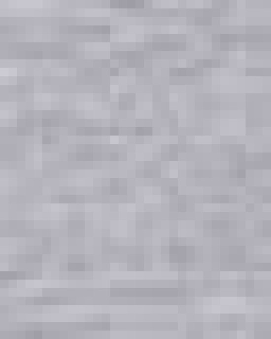 Unisex Softstyle® Lightweight T-Shirt