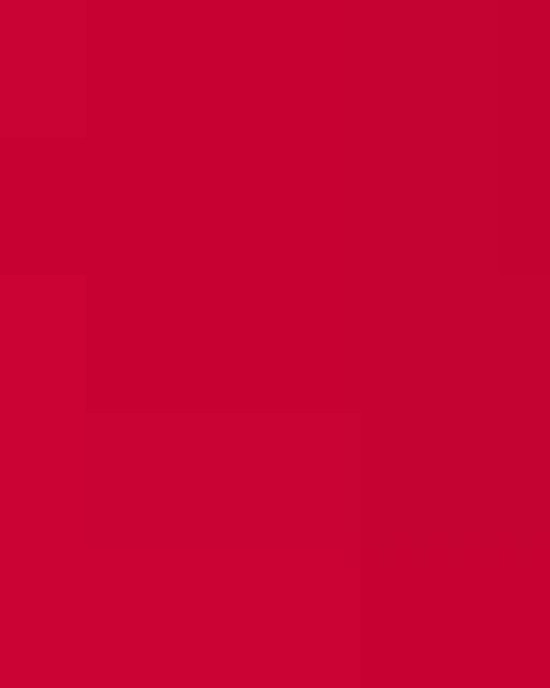 Unisex Softstyle® Lightweight T-Shirt