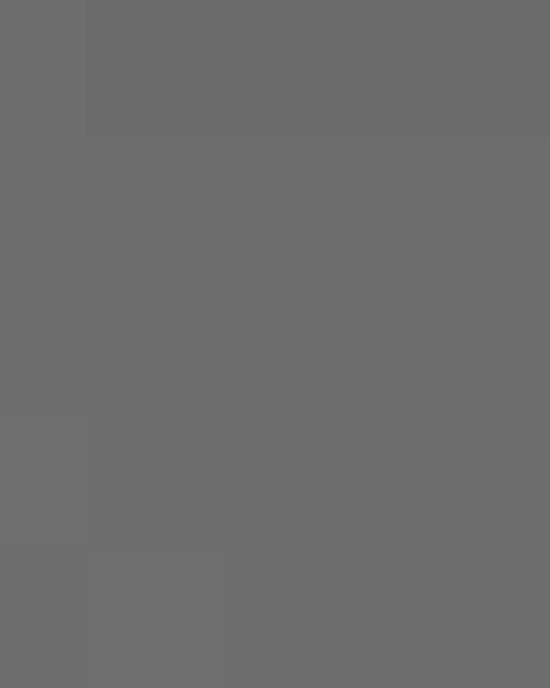 Unisex Softstyle® Lightweight T-Shirt