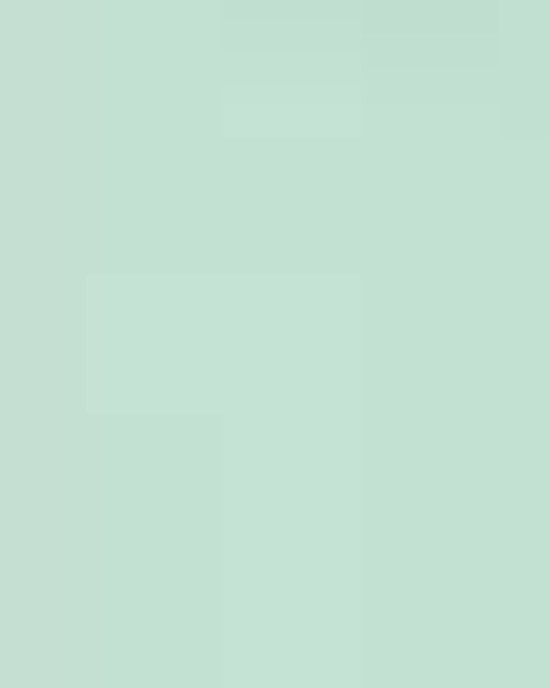 Unisex Softstyle® Lightweight T-Shirt