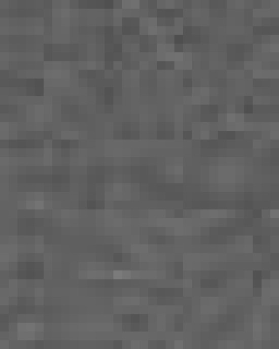 Unisex Softstyle® Lightweight T-Shirt