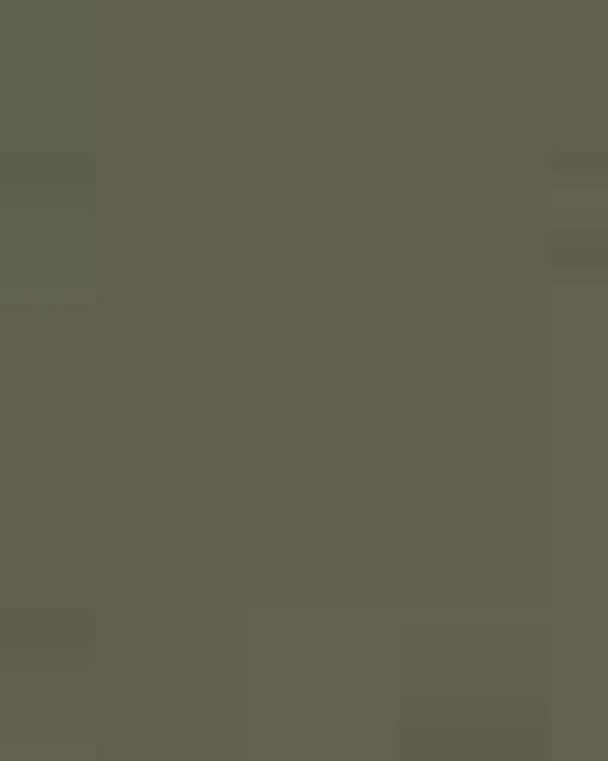 Unisex Softstyle® T-Shirt