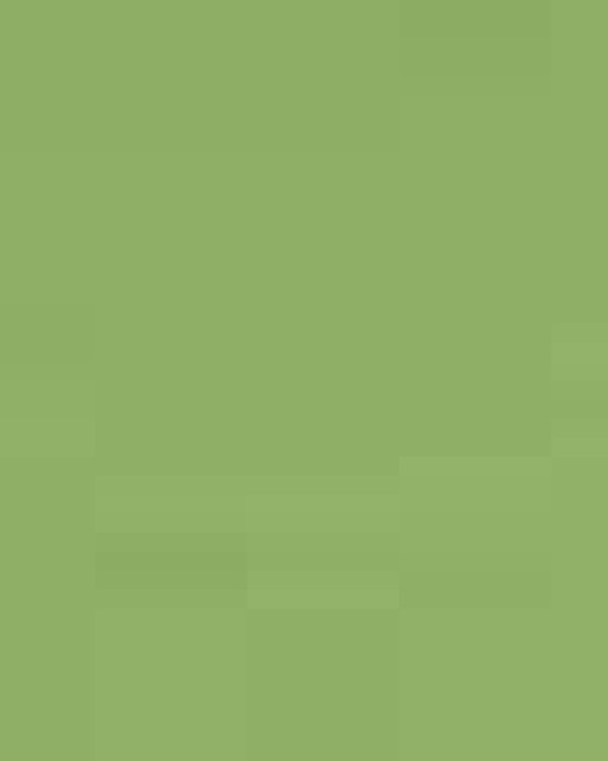 Unisex Softstyle® T-Shirt