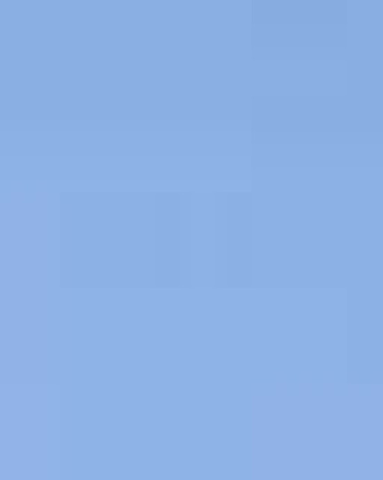 Unisex Softstyle® T-Shirt