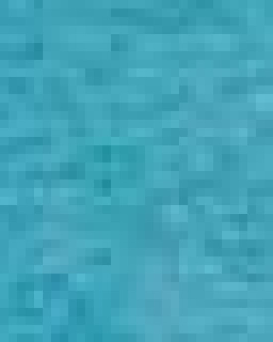 Unisex Softstyle® T-Shirt