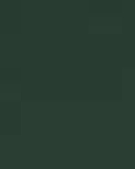 Unisex Softstyle® T-Shirt