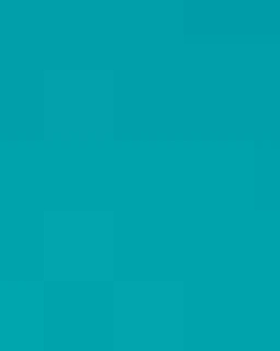 Unisex Softstyle® T-Shirt