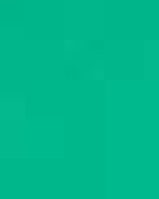 Unisex Softstyle® T-Shirt