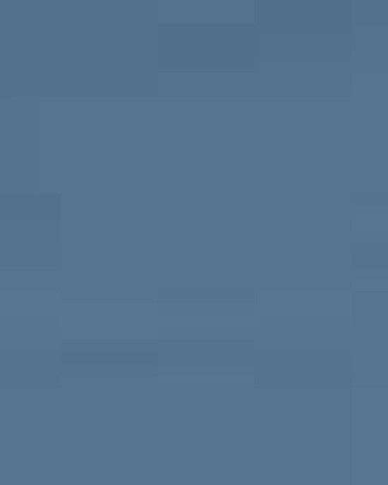 Unisex Softstyle® T-Shirt