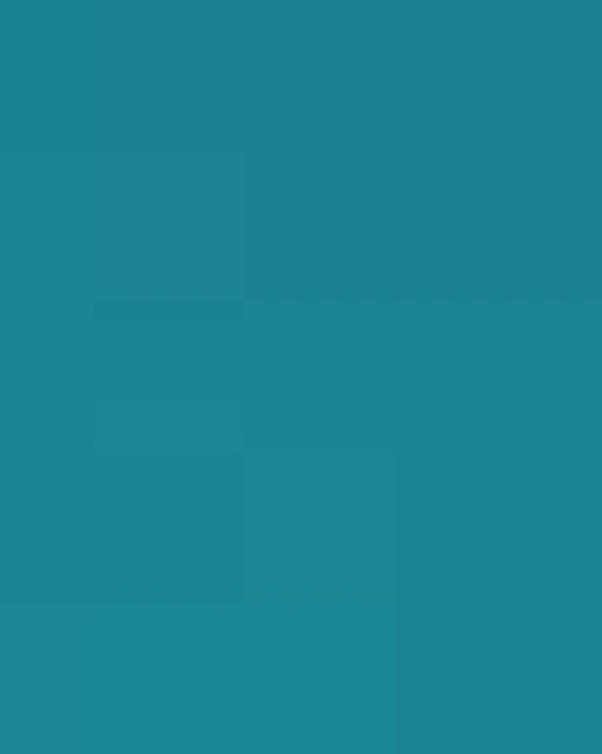 Unisex Softstyle® T-Shirt