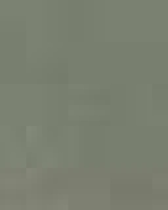 Unisex Garment-Dyed Heavyweight T-Shirt