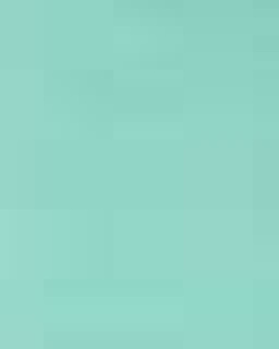 Unisex Garment-Dyed Heavyweight T-Shirt