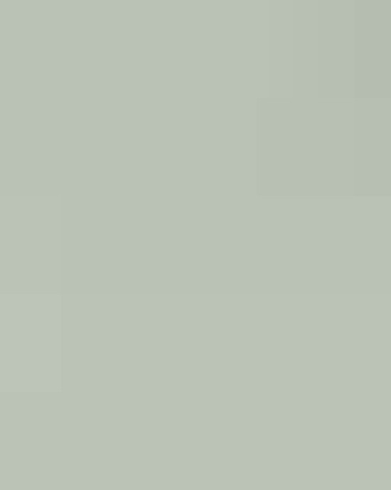 Unisex Garment-Dyed Heavyweight T-Shirt