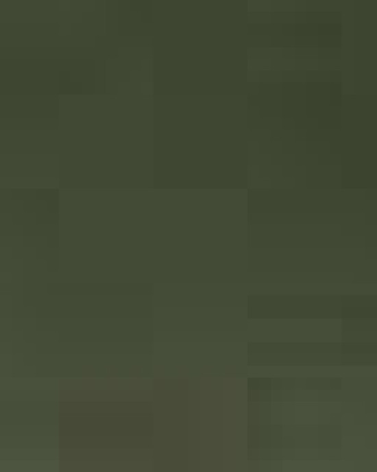 Unisex Garment-Dyed Heavyweight T-Shirt