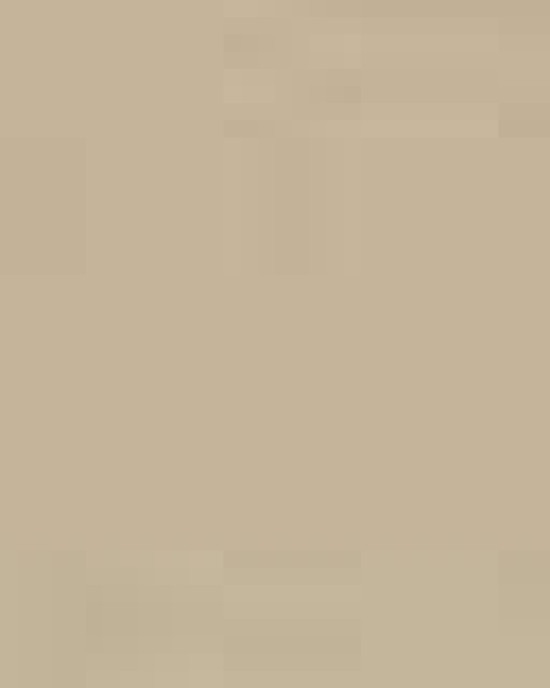 Unisex Ultra Cotton® T-Shirt