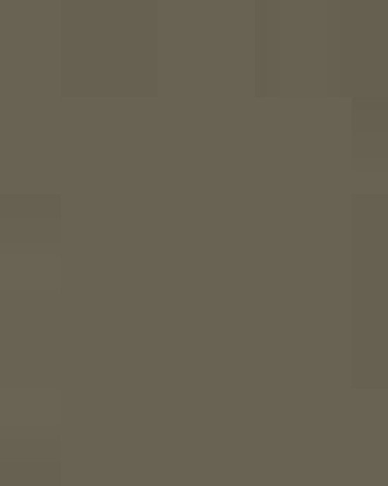 Unisex Ultra Cotton® T-Shirt