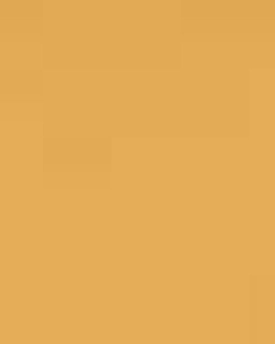 Unisex Softstyle® Midweight T-Shirt