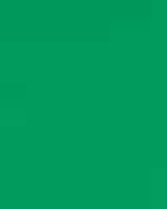 Unisex Softstyle® Midweight T-Shirt