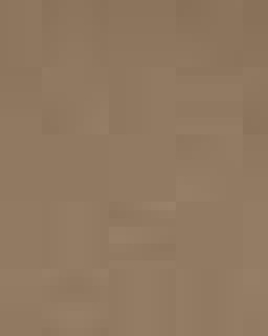 Unisex Softstyle® Midweight T-Shirt