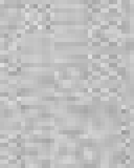 Women's Jasper Jacquard Fleece Vest