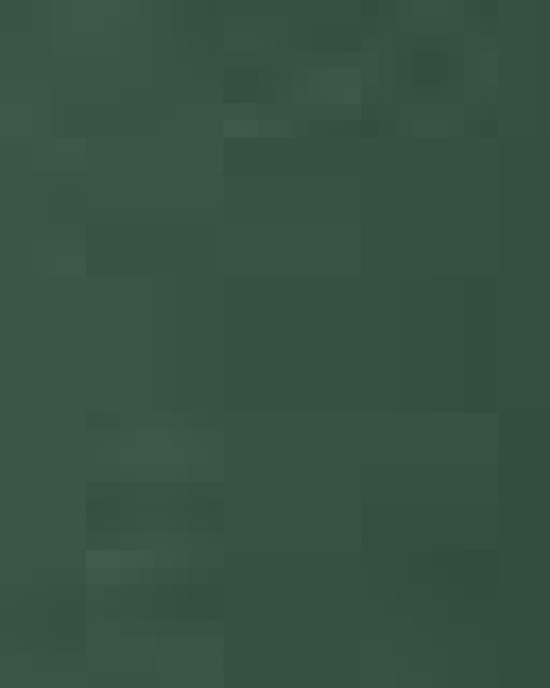 Youth Softstyle® Midweight Hooded Sweatshirt