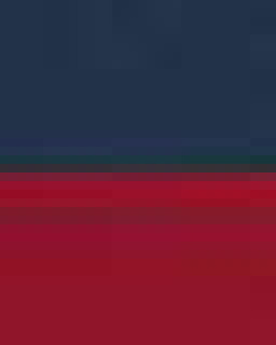 Two-Tone Hooded Sweatshirt