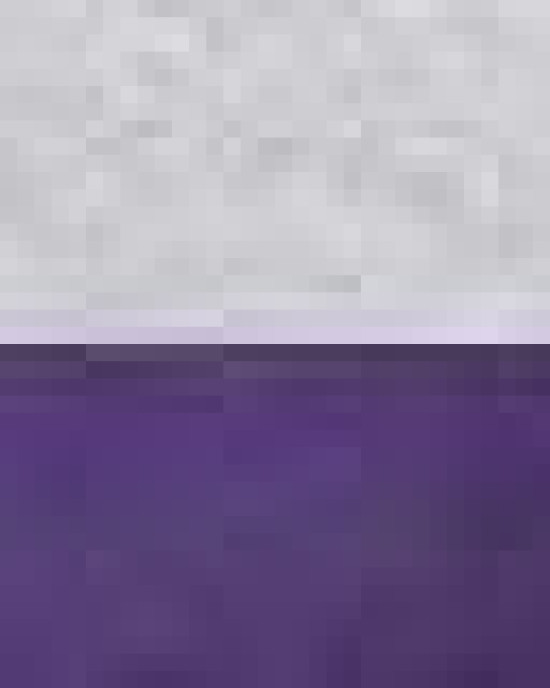 Two-Tone Hooded Sweatshirt