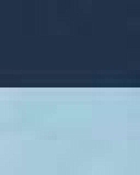 Two-Tone Hooded Sweatshirt