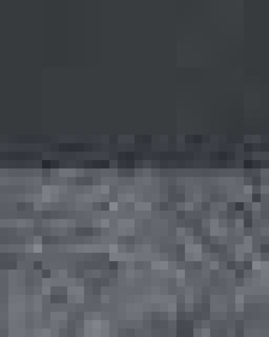 Two-Tone Hooded Sweatshirt