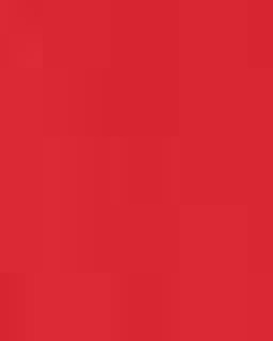 Extra Heavy Hooded Pullover