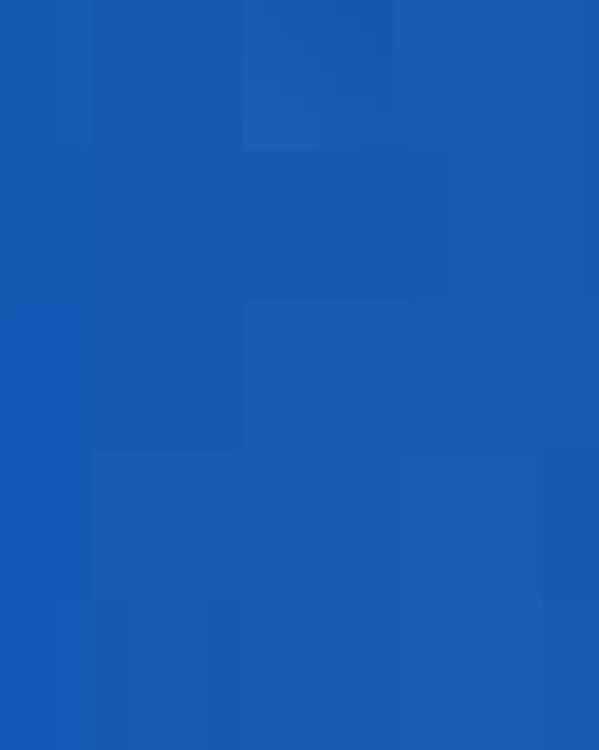 Extra Heavy Hooded Pullover