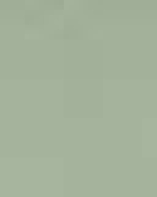 Youth Softstyle® Midweight T-Shirt