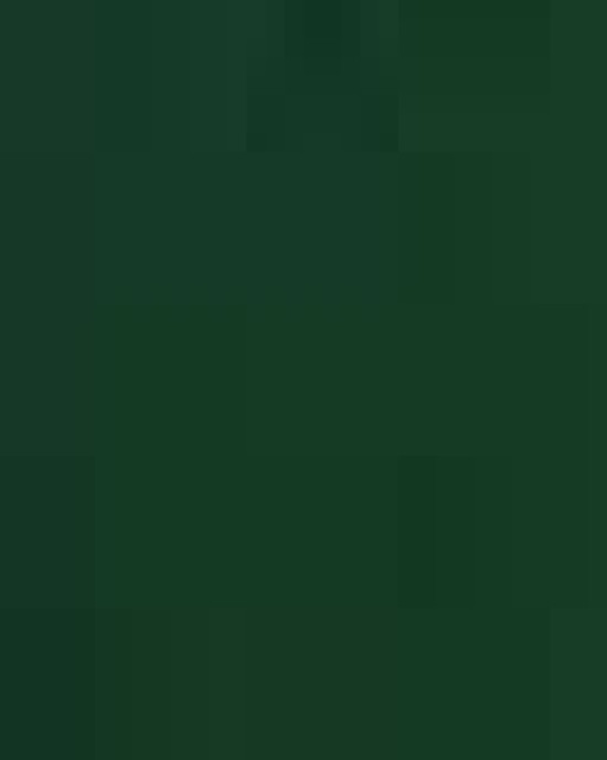 Unisex Hammer™ Maxweight T-Shirt