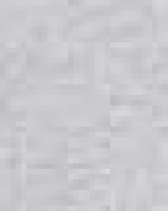 Women's Fine Jersey Boxy Tee