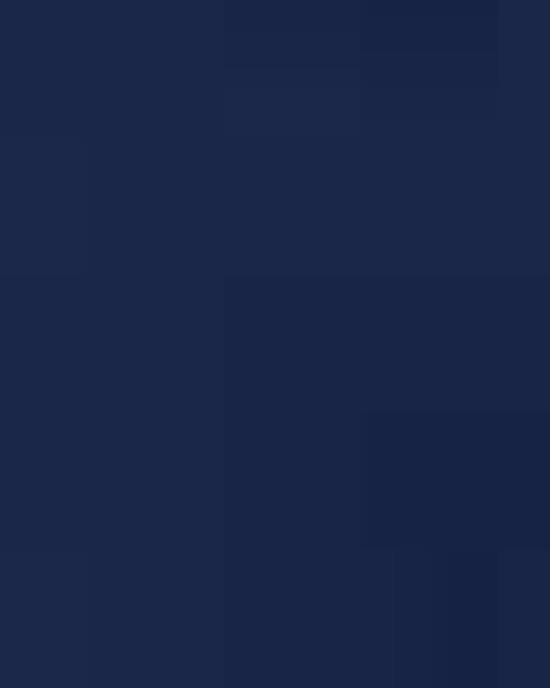 Unisex Light Cotton T-Shirt